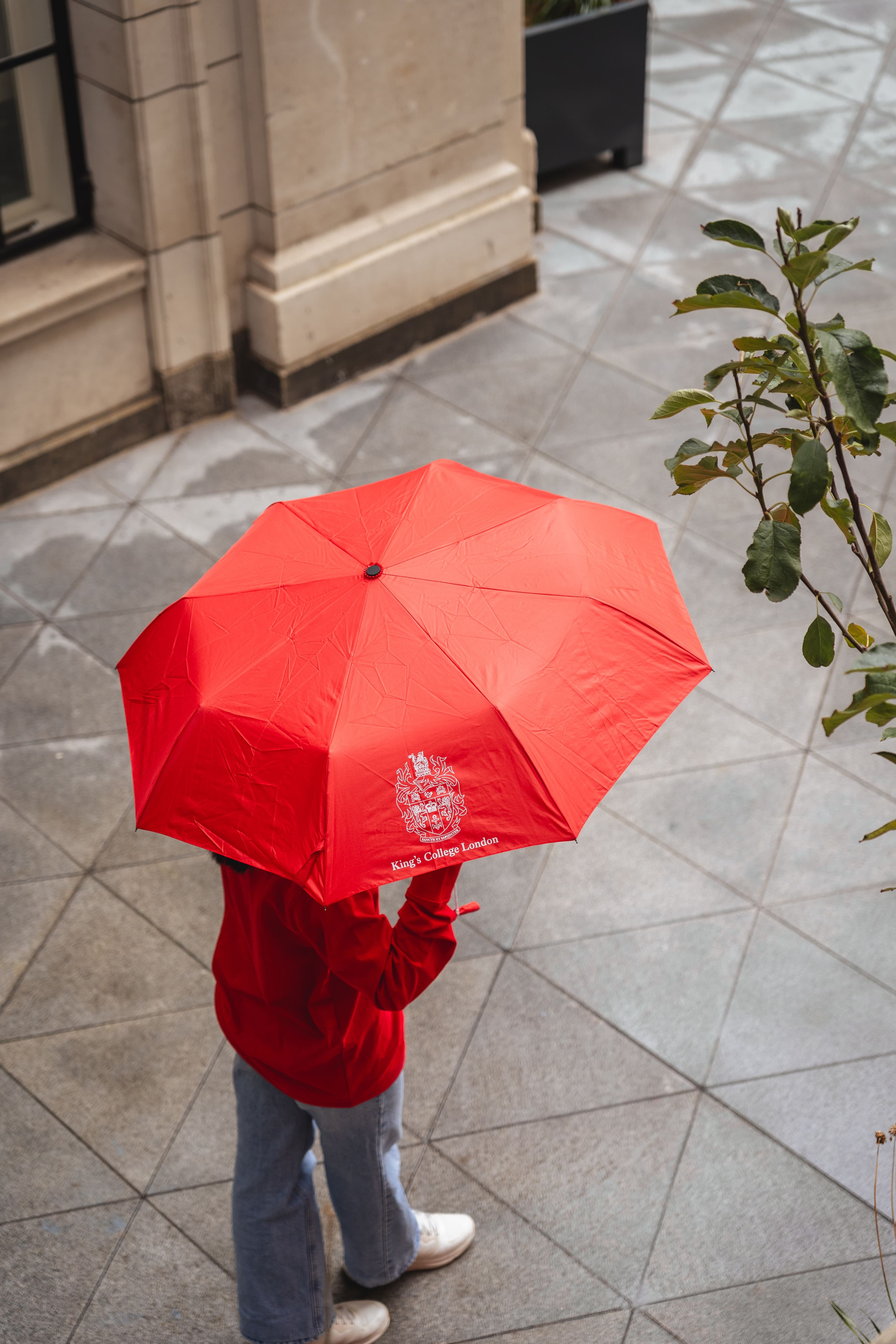 jpeg-optimizer DSC09272